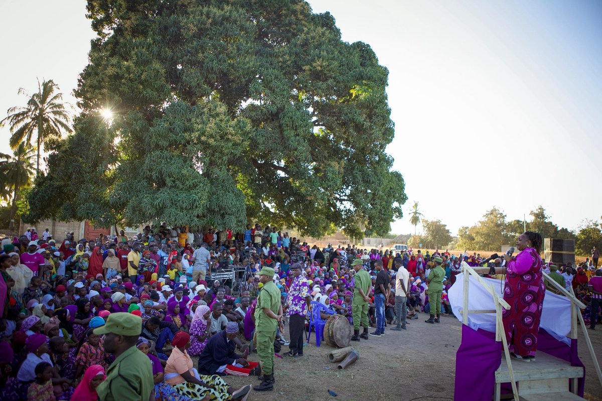 DISPATCHES FROM MAJI MAJI TOUR - 10
Justice for Cashew Farmers: Ending Exploitation

Tandahimba, Mtwara
July 11, 2025

Today, I stand with you in Tandahimba, Mtwara Region, as we continue our 30-day Maji Maji Operation tour to awaken Tanzanians to the power of their votes. Here,