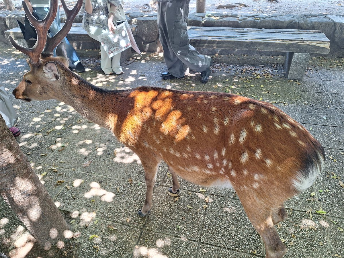 ぬん！