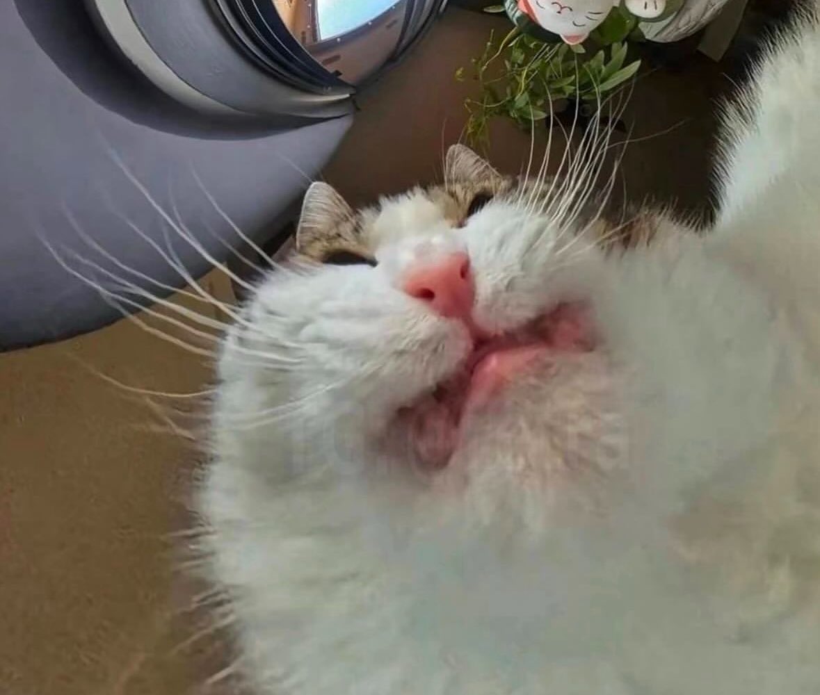 Feeling v undesirable rn