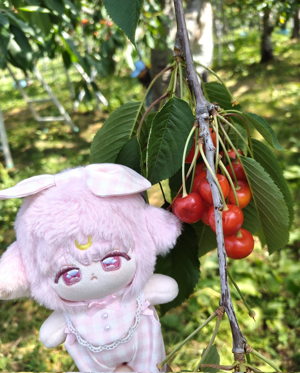 ゆちぃ (@yuchii773) / X