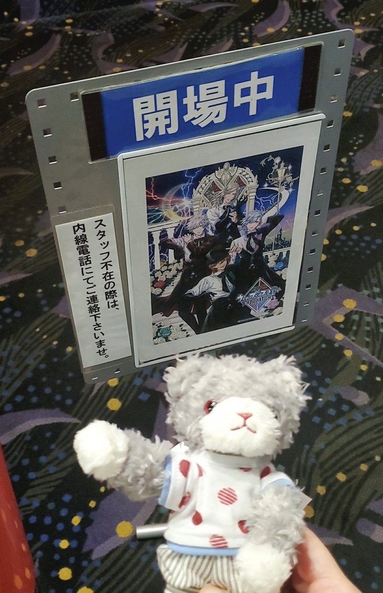 ai1_nonbiri's tweet image. 今日はこの子と🐱❤️