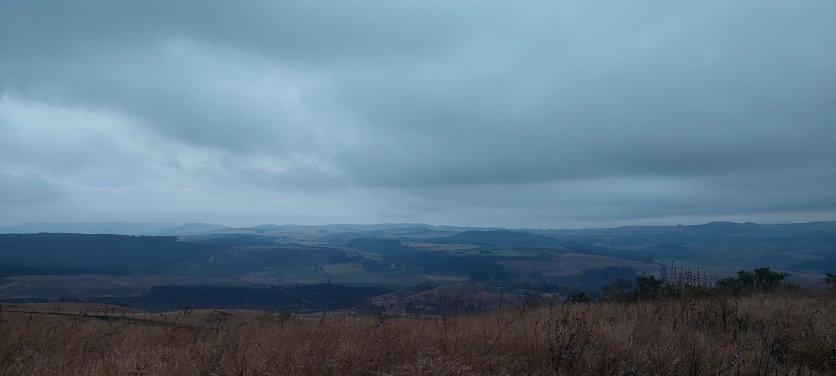 Brendan Gittins tweet media