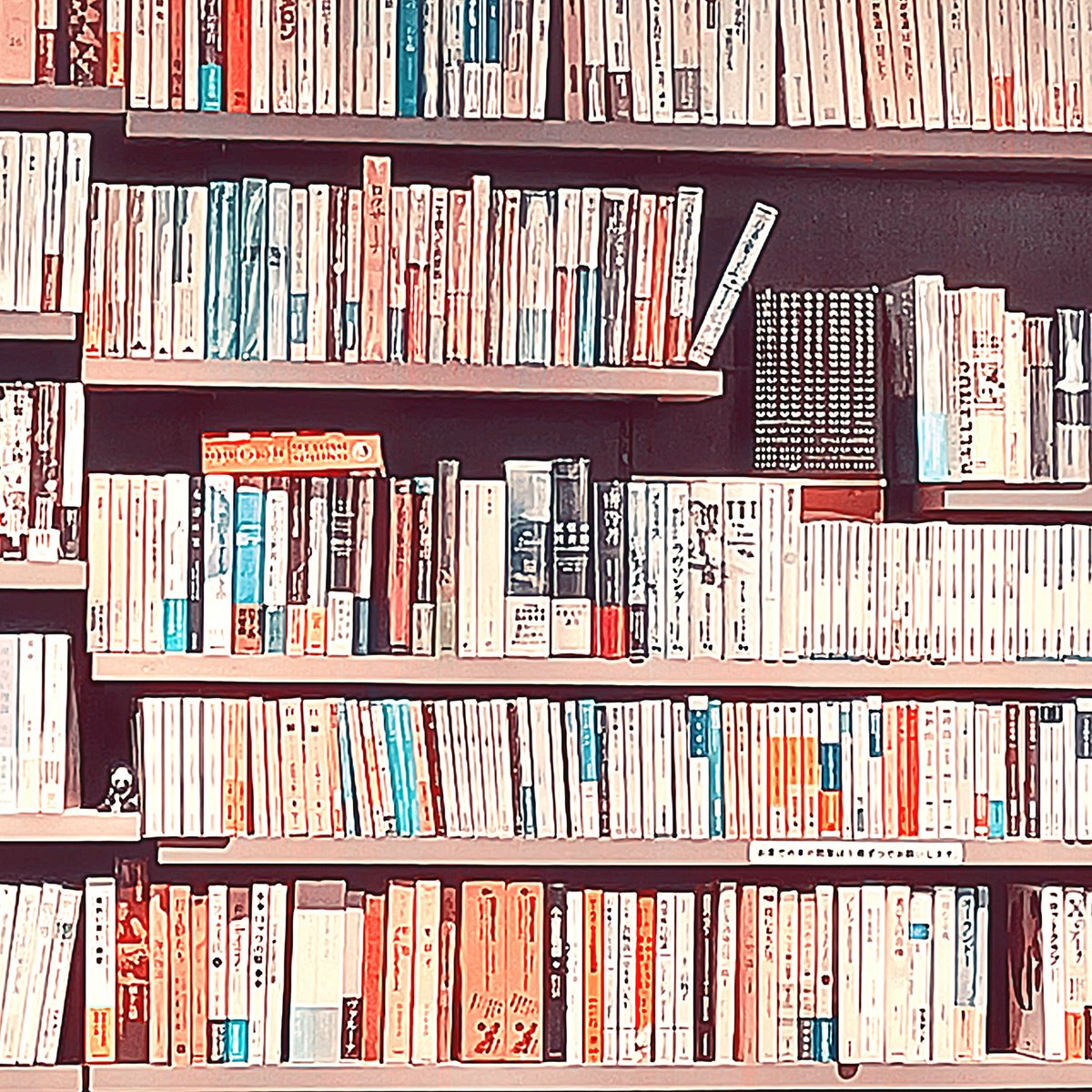 オープンしてます！
今日は16時より、ただみんなで集まって読書する、“ただただみんなで集まって読書する会”です！