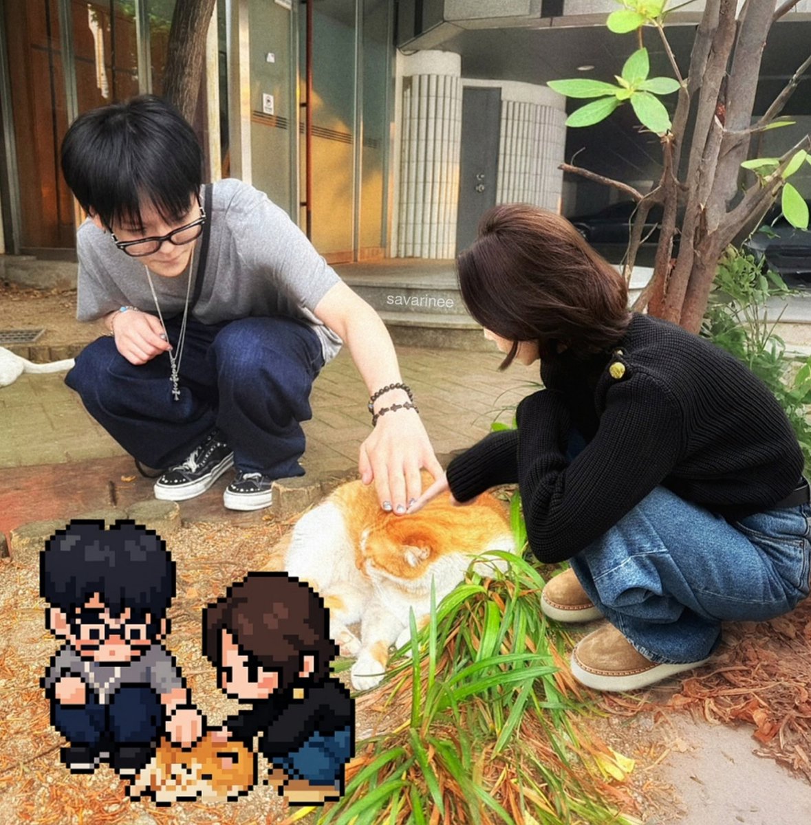 savarinee's tweet photo. unreleased photo of yorina, pixelnya generated by yoxi (valid!) #yujimori 🐈 https://t.co/bixUM9fJQw