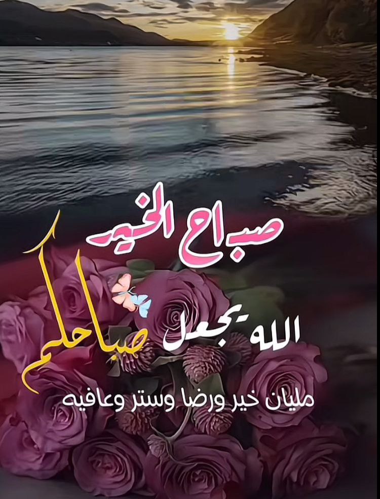 <a href="/sj3samr/">sαмσяα</a> <a href="/9H99A/">دلال الشمري ☪︎🇸🇦</a> <a href="/sammr3/">ᏕᎯᗰᎯᖇ</a> صباحٌ جميل

 يهمسُ بأن القادم أجمل، 

وأن في كل إشراقة شمس،

 فرصةٌ جديدة للحياة... 

صباحكم أملٌ لا يخيب، وتفاؤلٌ لا ينطفئ."