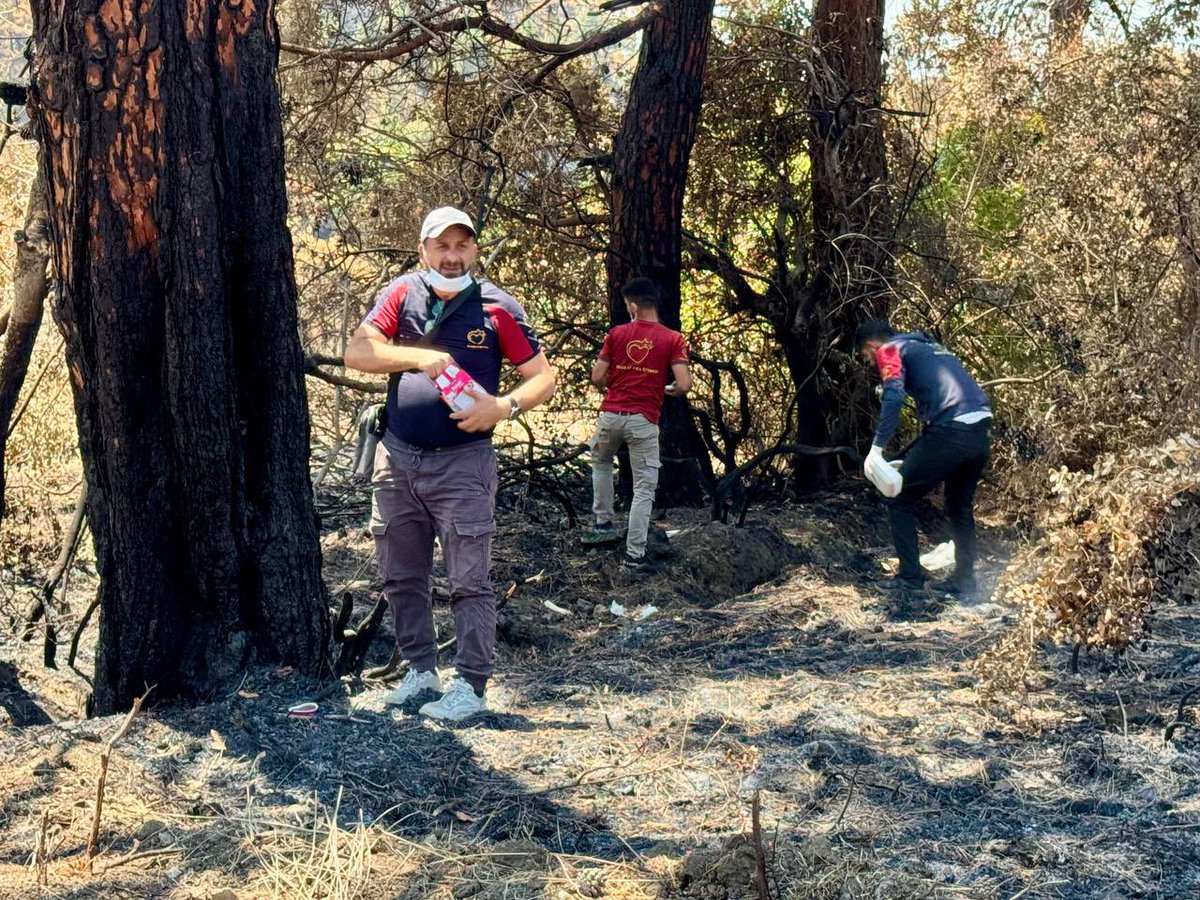 theAleppoCatmen's tweet image. This week Latakia has been completely devastated by fires this week, and in Syria we do not have the appropriate rescue vehicles, nor planes capable of carrying large quantities of water, so a massacre of greenery and animals is still ongoing.😞
we went to the areas that have…