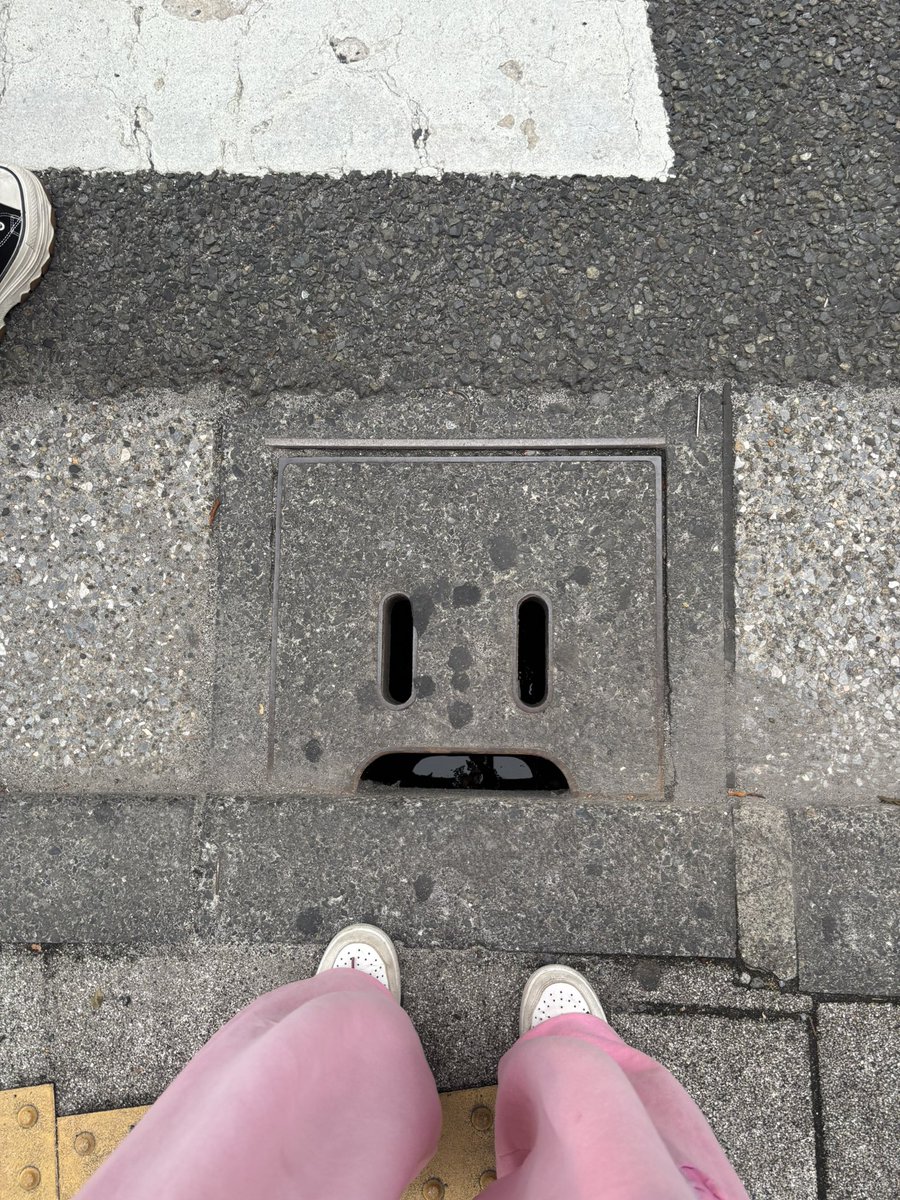信号の目の前に
顔あった😦
#マンホール？