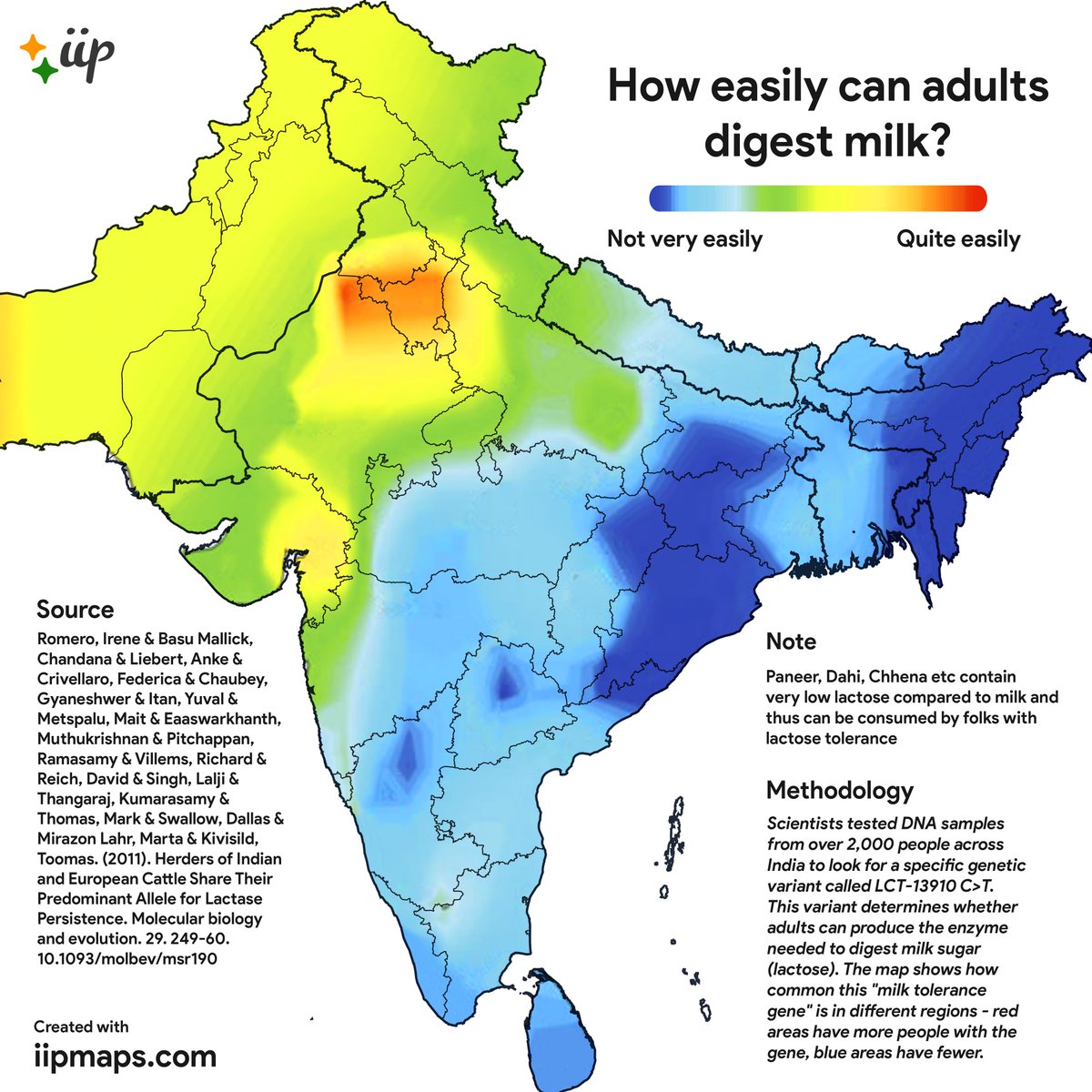 How easily can adults in the Indian Subcontient digest milk?
