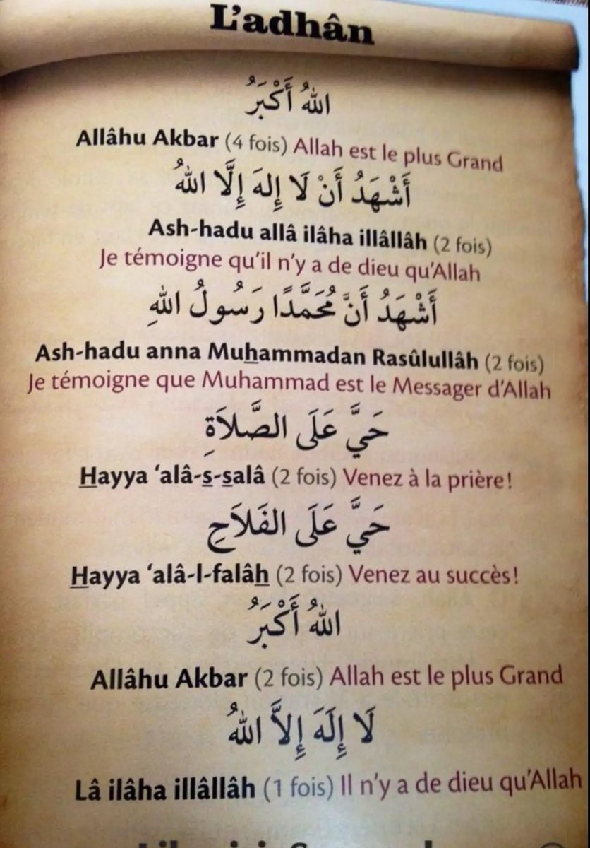 🀄️🐍 tweet media