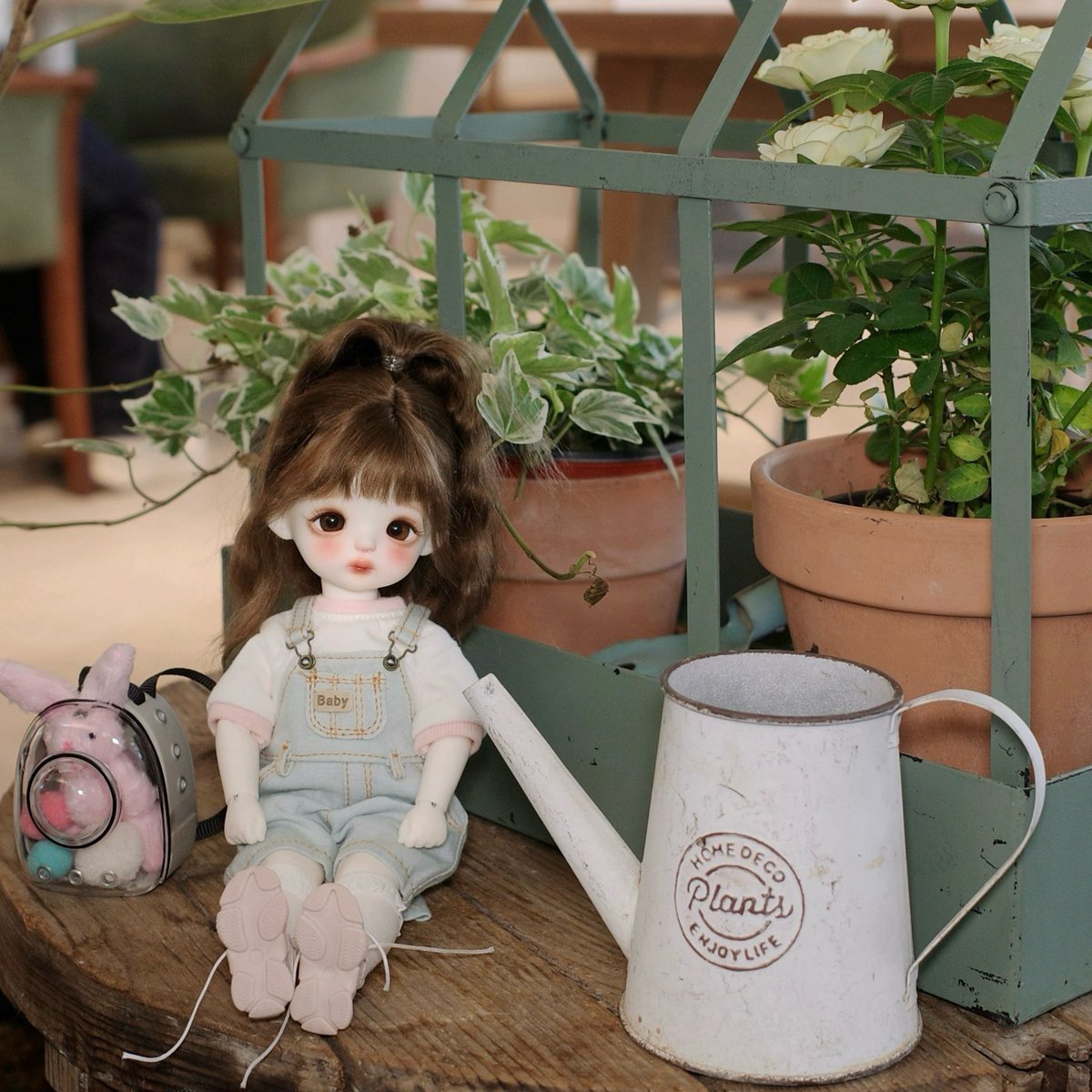 아아 눈 앞에서 위시를 놓쳤어어....(˃̣̣̣̣̣̣བ˂̣̣̣̣̣̣)