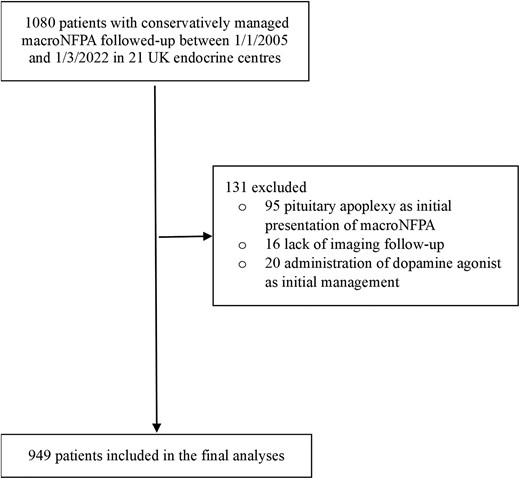 EJEndo's tweet image. Conservatively managed non-functioning pituitary macroadenomas – cohort study from the UK Non-functioning Pituitary Adenoma Consortium by Athanasios Fountas @Karavitaki_Niki et al

EJE Volume 192, Issue 5, May 2025
Open access 👉 doi.org/10.1093/ejendo…

#pituitary #PitNET