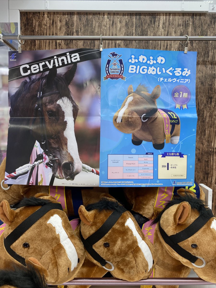 🐎新景品入荷情報🐎 サラブレッドコレクション ふわふわBIGぬいぐるみ