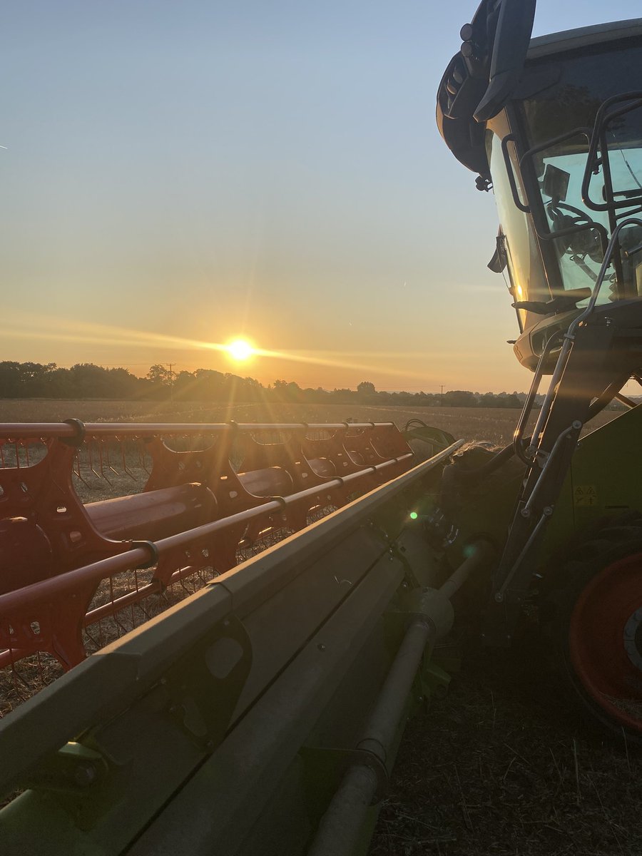 Beautiful start ! Gonna be a hot one 😓early bird catches the dew!😂😂🤦