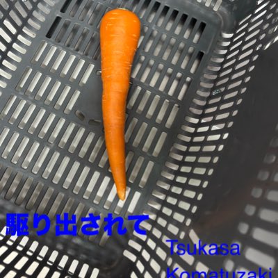 002Koma's tweet photo. #新しいプロフィール画像 https://t.co/zBISeJ3YYS