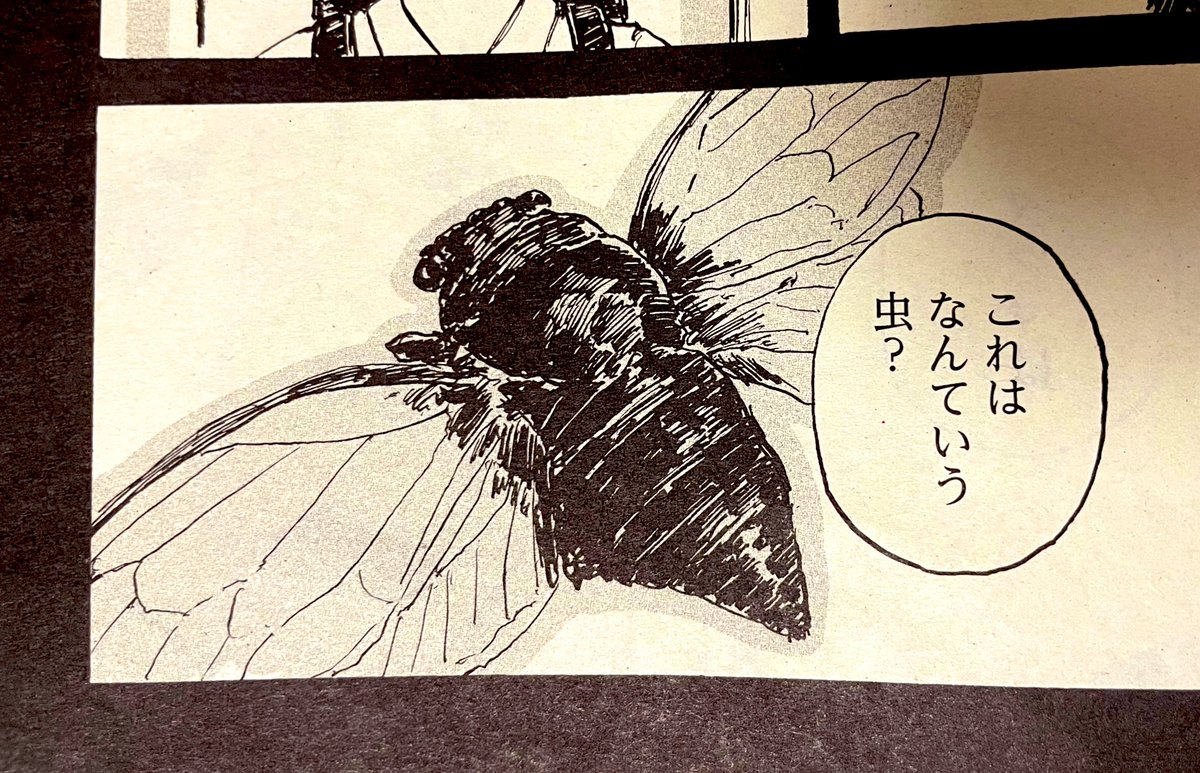 KoikeRikuto360's tweet image. エイリアンと虫ハカセ １話
ハルタ125号
