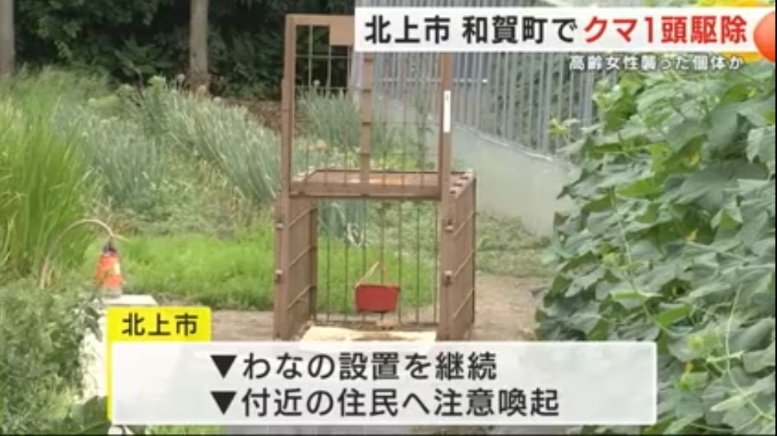 kumamoriBranch's tweet image. 犯人か結果を待たず捕獲されたら(今回のは銃殺)冤罪でも即死刑は日本では普通。
熊が毎日往復できる地域で誘引物管理や戸締まり等個人の意識を高める普及啓発の他、倉庫や住宅の強度を高めるリフォーム支援の拡充等があると良いと思う。大きなお金の負担はきついだろうから。
approach.yahoo.co.jp/r/QUyHCH?src=h…