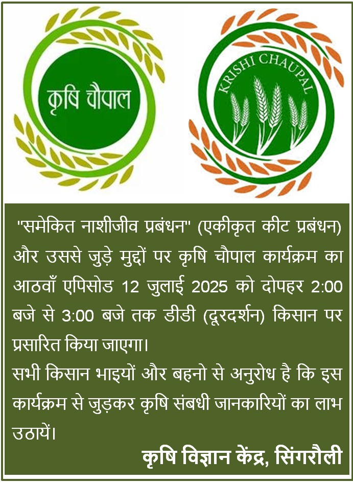 KvkSingrauli's tweet photo. https://t.co/JZvojnxc82