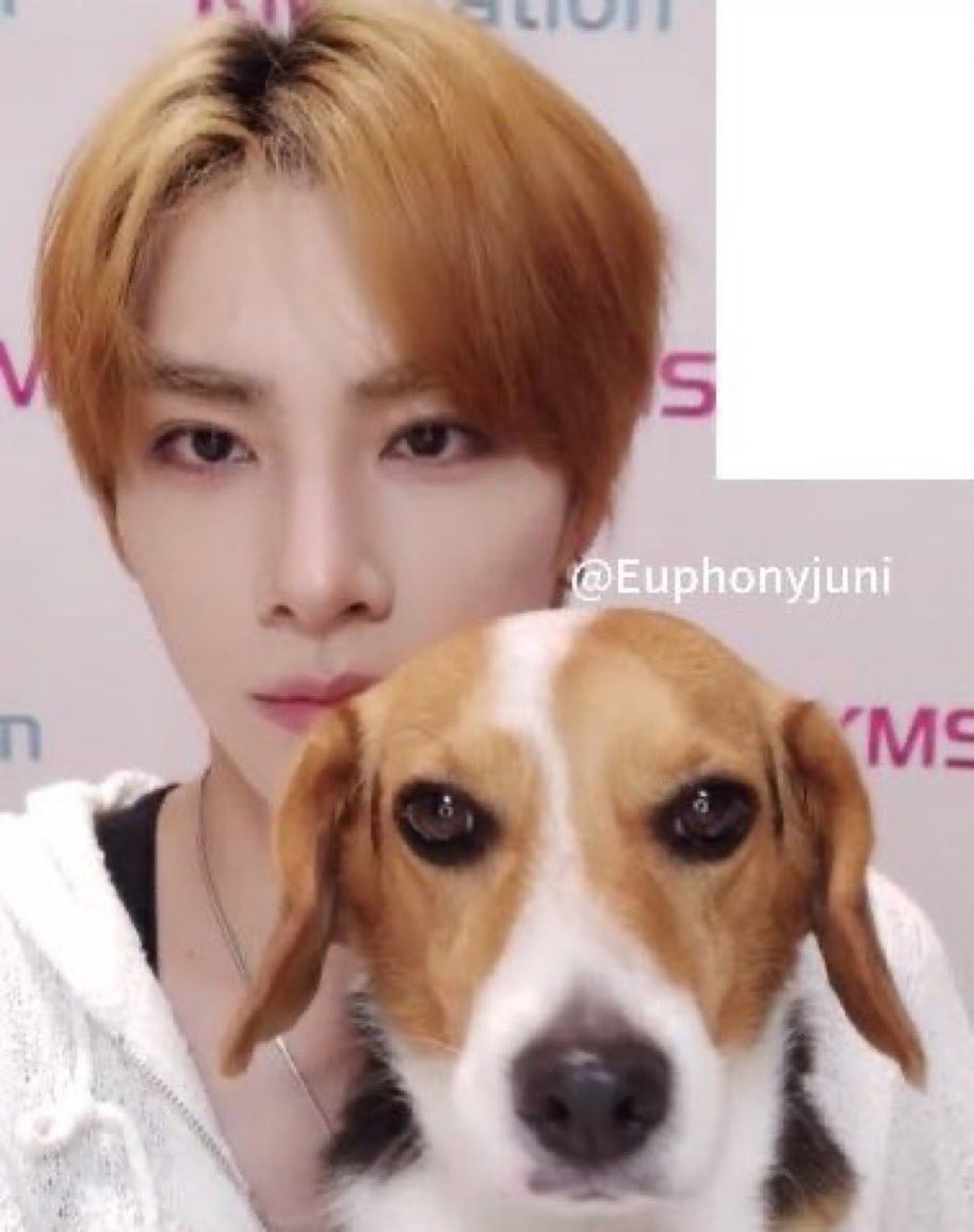 샤오쥔이 벨라 낳은거 아님? ㅠㅠ