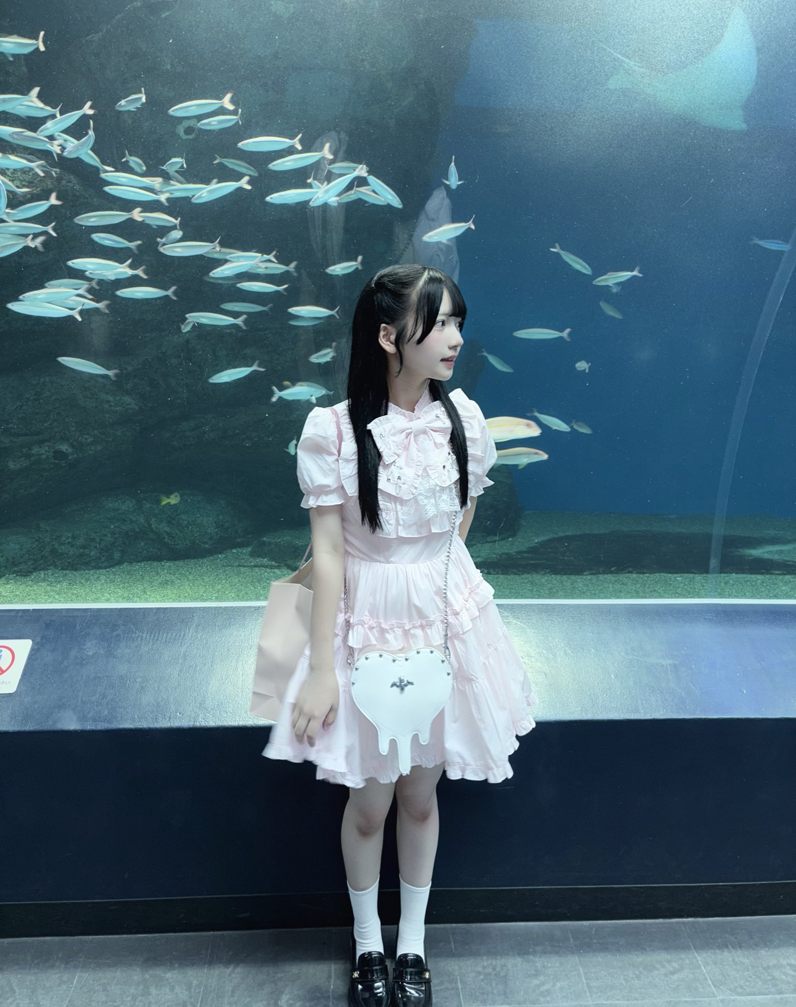 にゃんもな (@uxvqc) / X