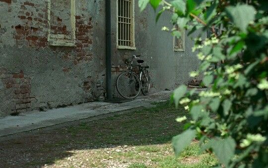 somewhere in northern italy, 1983