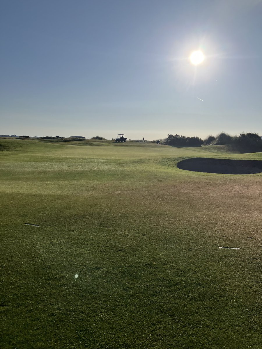 Billy Aylmer tweet media