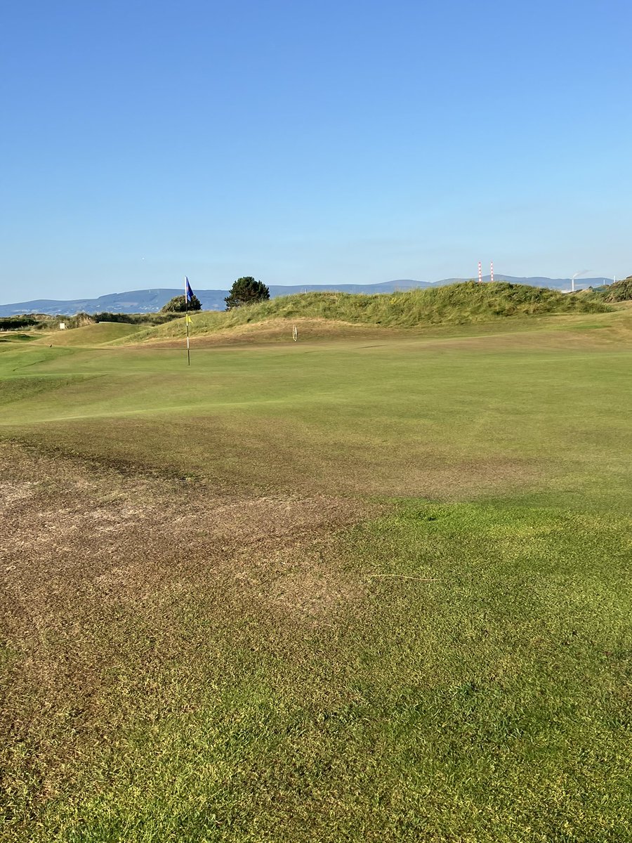 Billy Aylmer tweet media