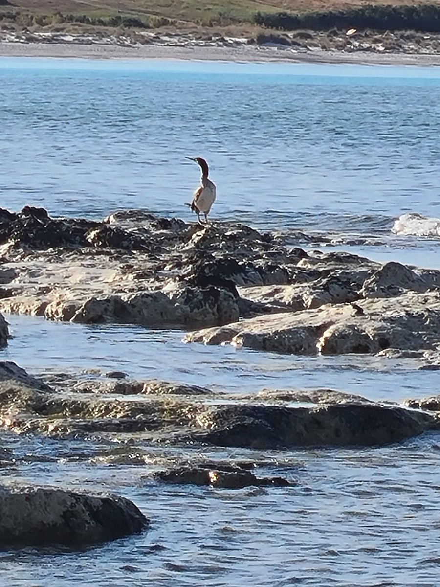Uomo libero, amerai sempre il mare! Il mare è il tuo specchio: contempli la tua anima nel volgersi infinito dell'onda che rotola." (Charles Baudelaire) 
📷mia
#emozioni