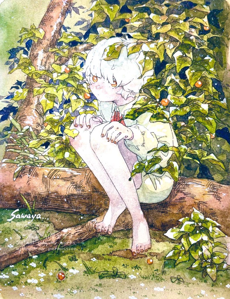 sawa_soyoyo's tweet image. #初夏の創作クラスタフォロー祭り
 #絵描きさんと繋がりたい

白とオレンジと緑が好きです🌱⋆｡
♻️中心に♡も周ります