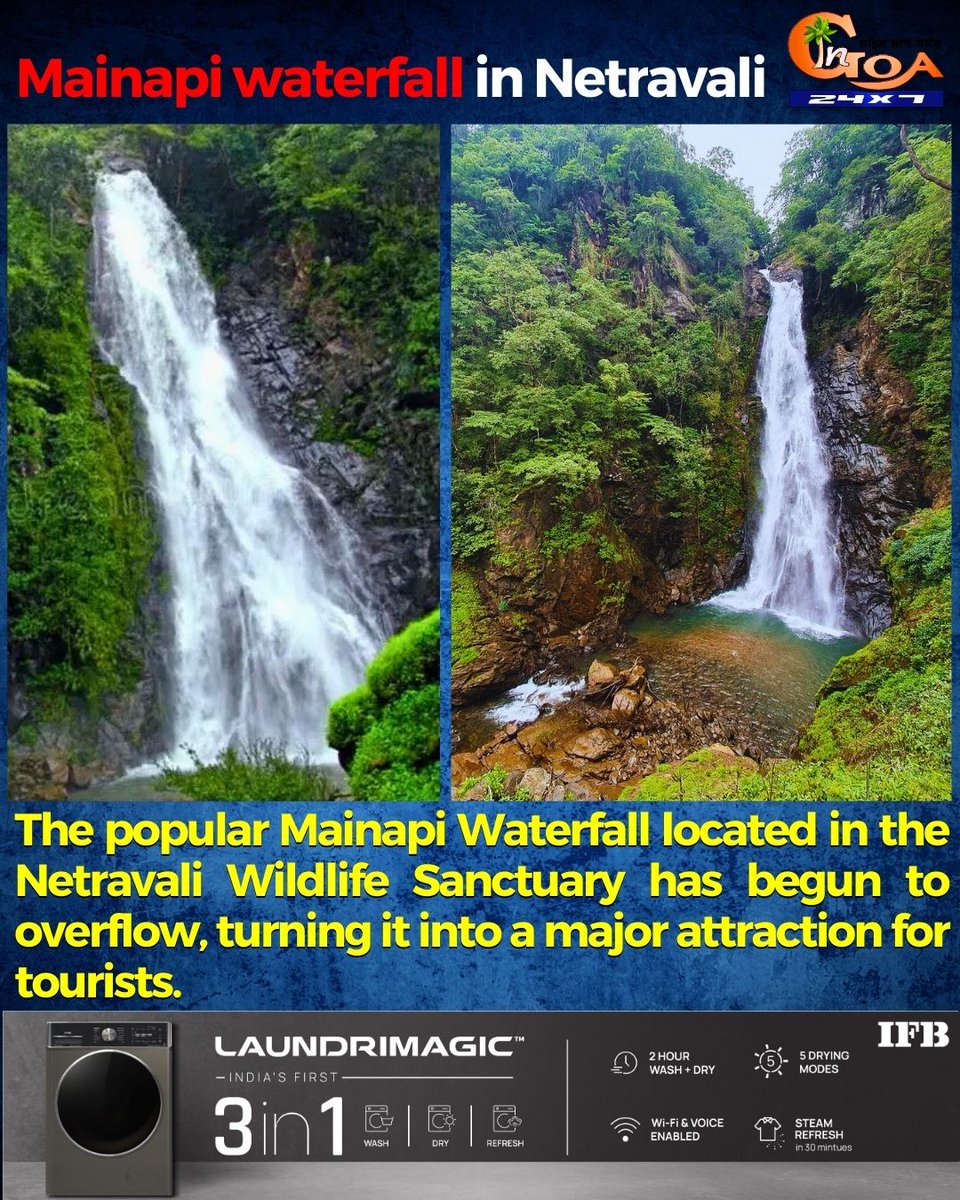 InGoa24x7's tweet photo. The popular Mainapi Waterfall located in the Netravali Wildlife Sanctuary has begun to overflow, turning it into a major attraction for tourists.
#goa #goanews #mainapiWaterfall #netravali #wildlifeSanctuar #tourists https://t.co/lKBqSY2dhL