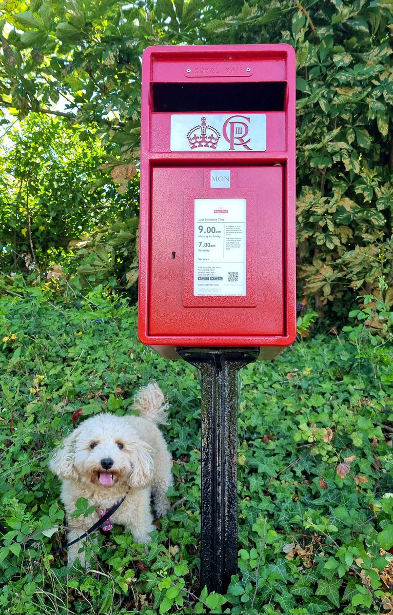 My first King Charles III postbox 👑📮seen in #Worcester #postboxsaturday #poochon