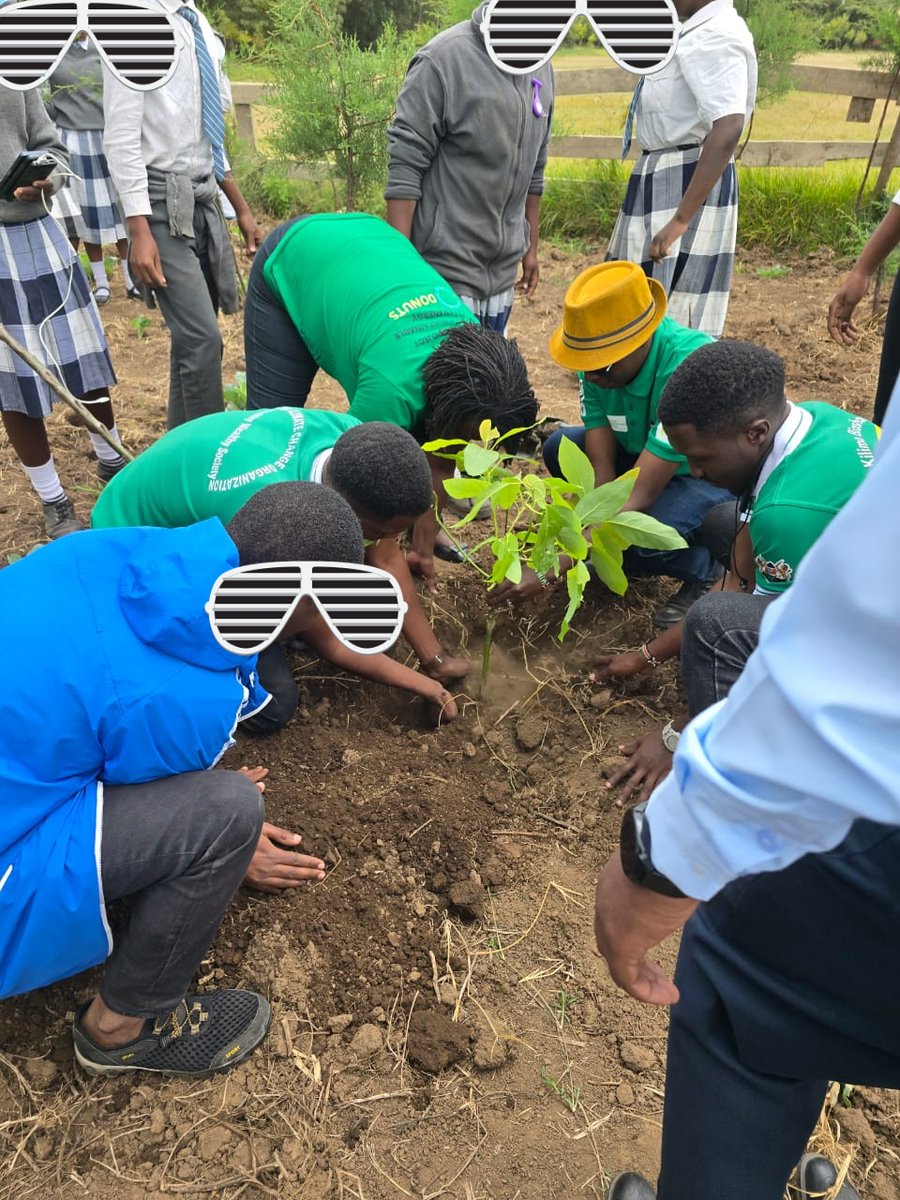 MapekMapek's tweet photo. What if one tree could rewrite our future? With #TeamClimateChangeNaivasha is proving it can be done,using fruit trees planting in schools to fight climate change,Protect the env.&amp;Inspire communities to build a greener and healthier tomorrow,One tree at a time.
@GreenFaith_Afr https://t.co/gF1uet0mi3