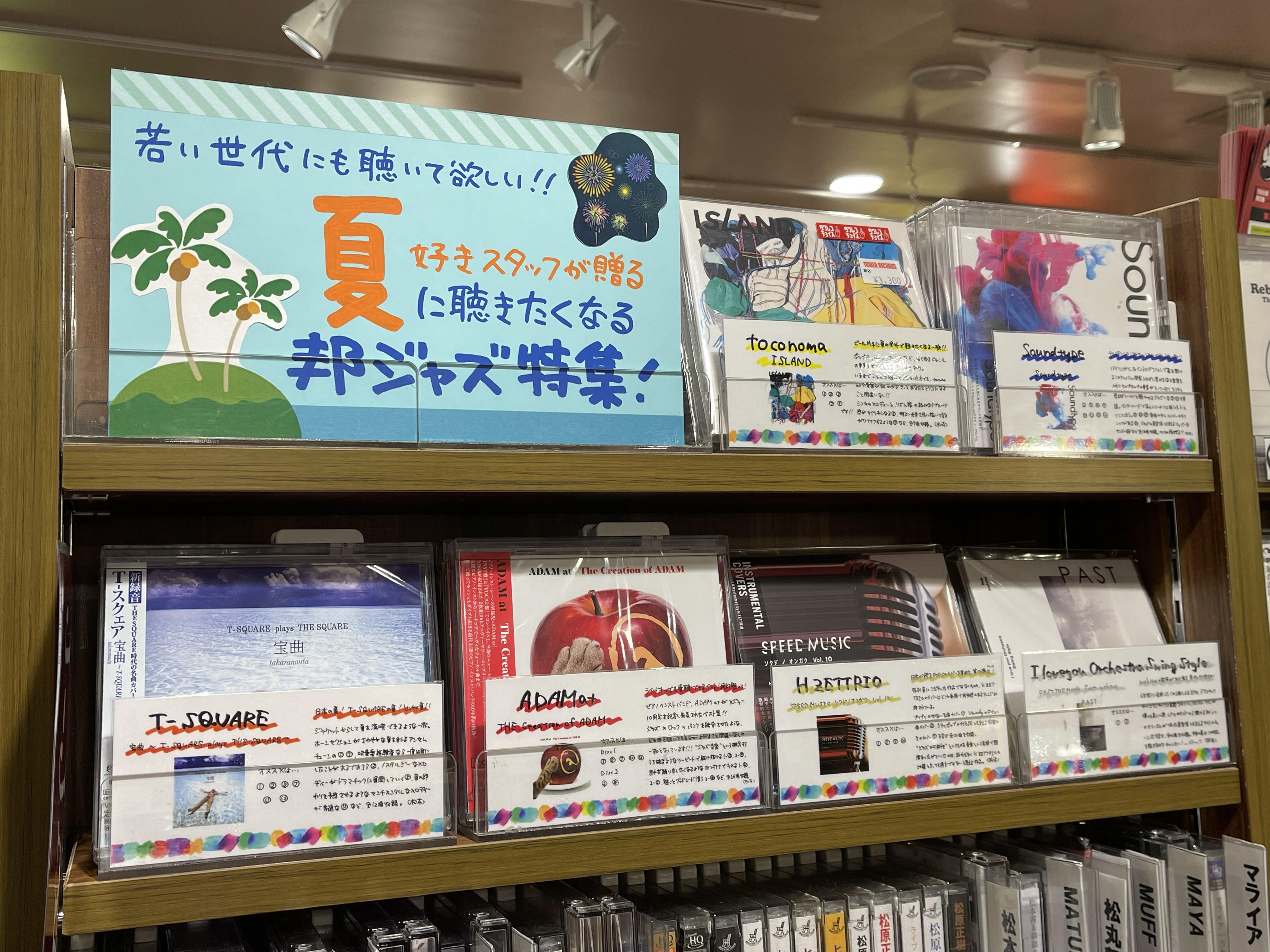 ラフ・ガイド・トゥ アイリッシュ音楽 ラフ・ガイド・トゥ アイリッシュ音楽