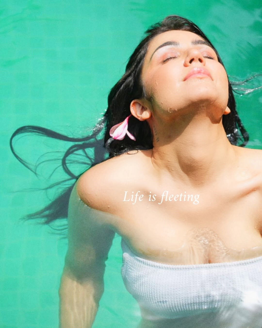 Gvp0tmeXkAAz-Ho?format=jpg&name=large