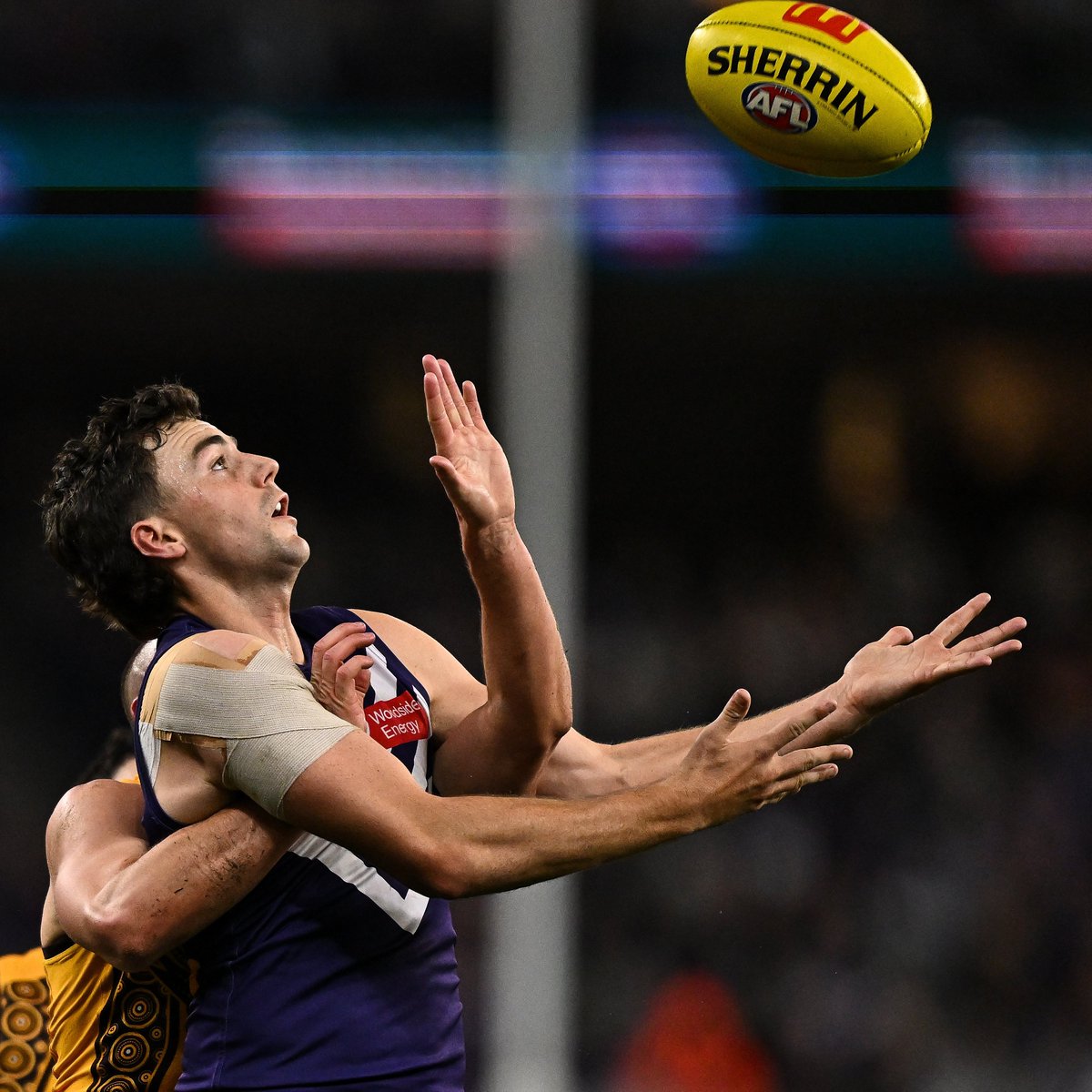 Fremantle Dockers tweet media