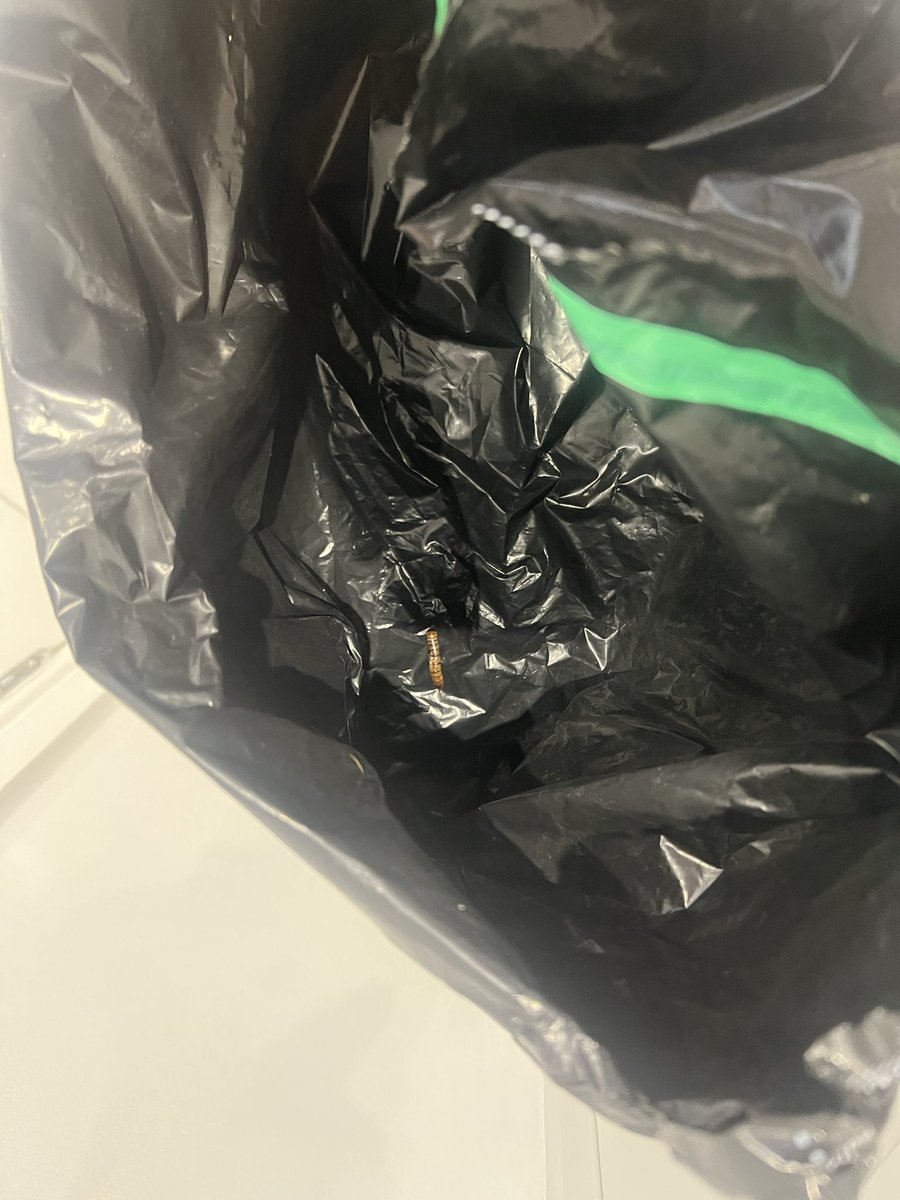 EllisPallett's tweet photo. @clarksshoes my order has literally just been delivered. I opened the bag and it had a foul smell, found one dead maggot, which was squished onto the shoe box and one live one in the box! https://t.co/da6tjv6Pl1