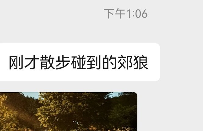 铃木 花音 tweet media