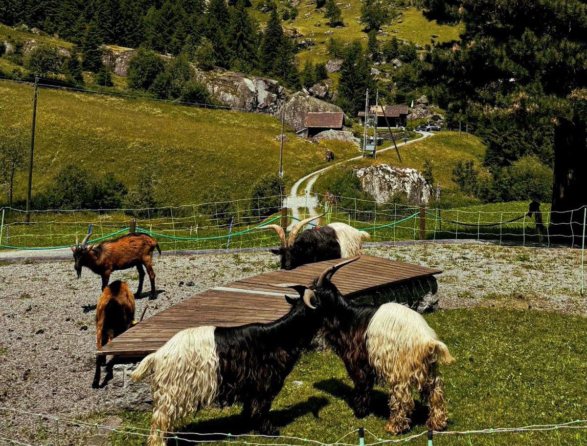 greetings from andermatt &lt;3