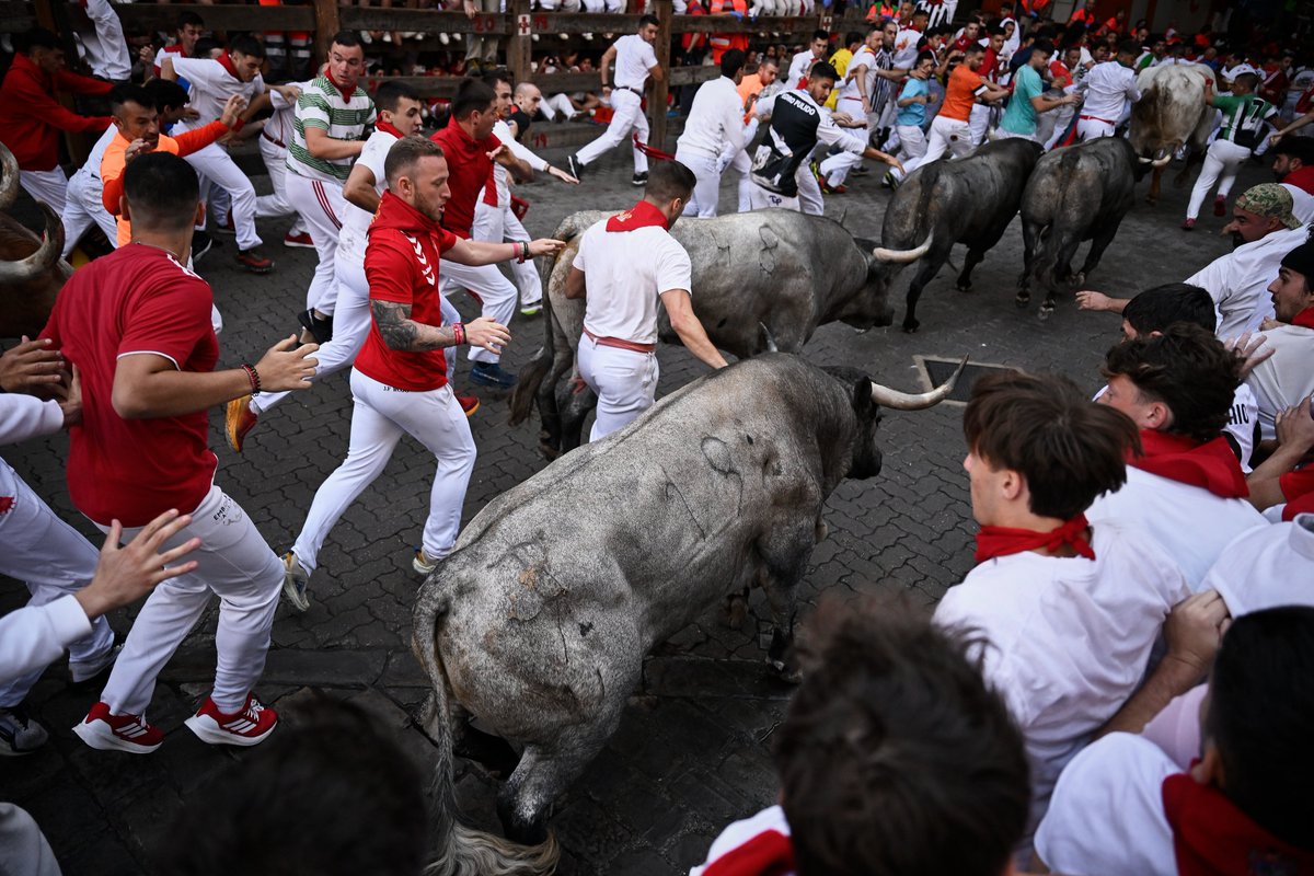 Sexto encierro de #SanFermin2025 con toros de José Escolar

2025-07-12
© Pablo Lasaosa