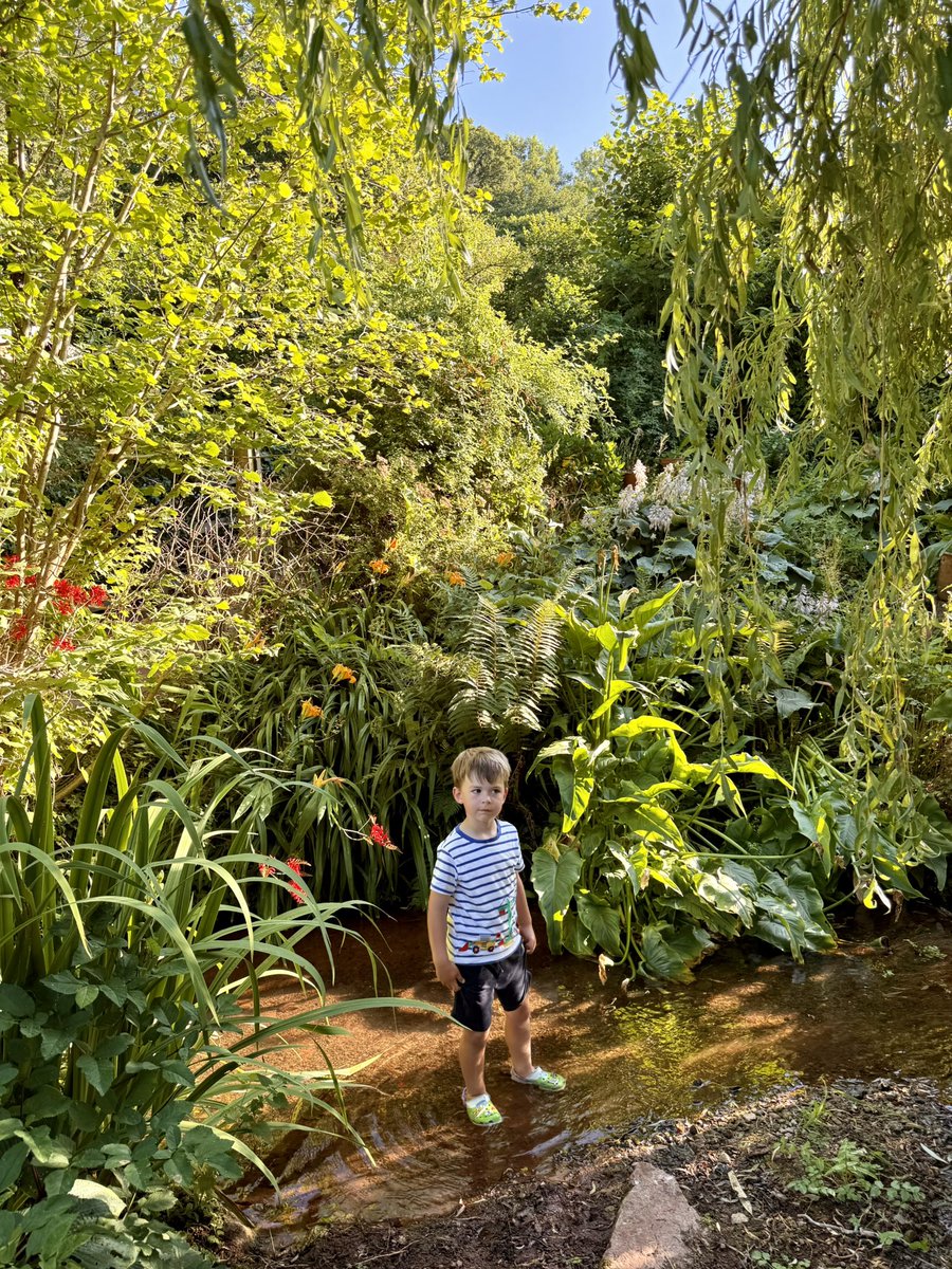 Moved from North Devon to South Devon for a few days at my sister’s house. Glorious weather - great adventures in the stream in their garden with the grandson. Tremendous.