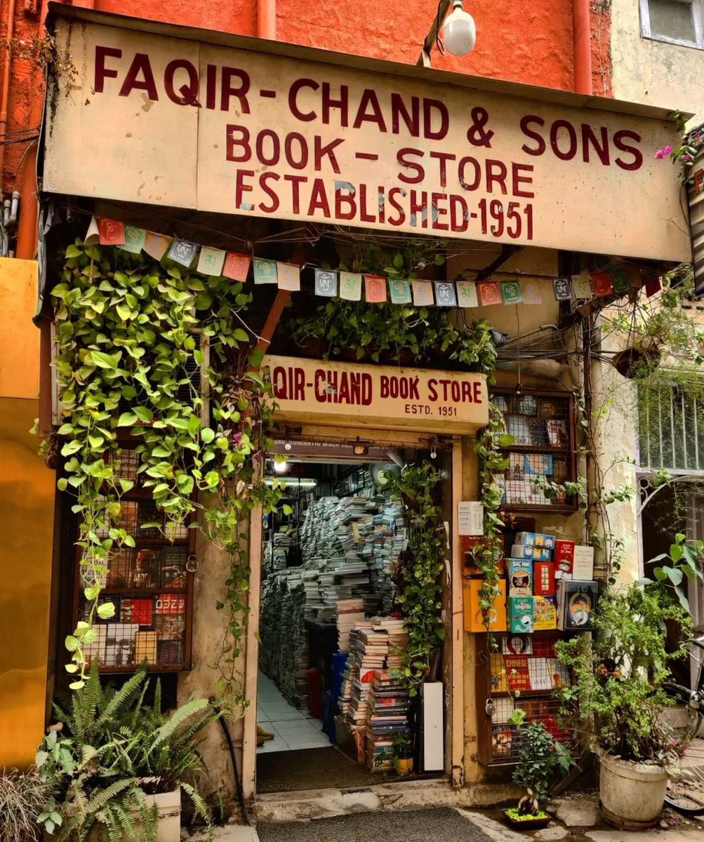 Doktorus tweet media