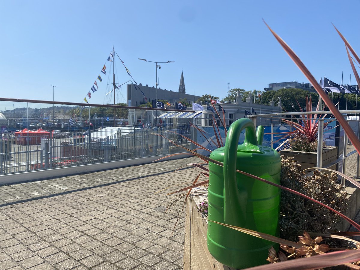 dunlaoghairecra's tweet image. Doing some watering of planters with Tidy Towns this morning & very grateful to the Royal St George for providing us with water 🙌
The plants need it today!!!