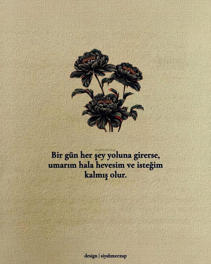 ill Sont Eux (@illsonteuxsair) on Twitter photo 