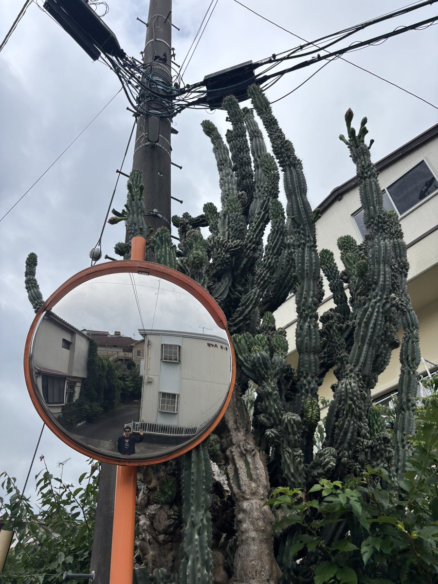 seijun_kato_'s tweet image. 周啓と旅行した。ライブもなんかそんな感じだった。ありがとうございました！！！