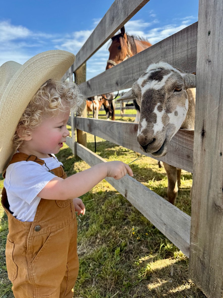 KentuckyLiving's tweet image. Charlie Giles enjoys a beautiful
Sunday afternoon feeding
the sheep. Photo by mom,
Samantha Giles, Columbia, a
consumer-member of Taylor County RECC
. #snapshotsaturday
Send us your snaps! ow.ly/qyfM50WjfnM