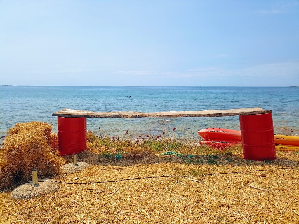 Silviadallava1's tweet image. Tra mare e campagna.
📷