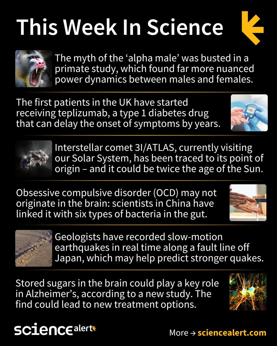 ScienceAlert's tweet image. This Week In Science (July 6–12)🧪

Alpha males busted, surprising OCD origins, slow-mo earthquakes, and much more!

Links to full articles in thread 🧵 

#ScienceNews #ScienceAlert #STEM #ThisWeekInScience #TWIS