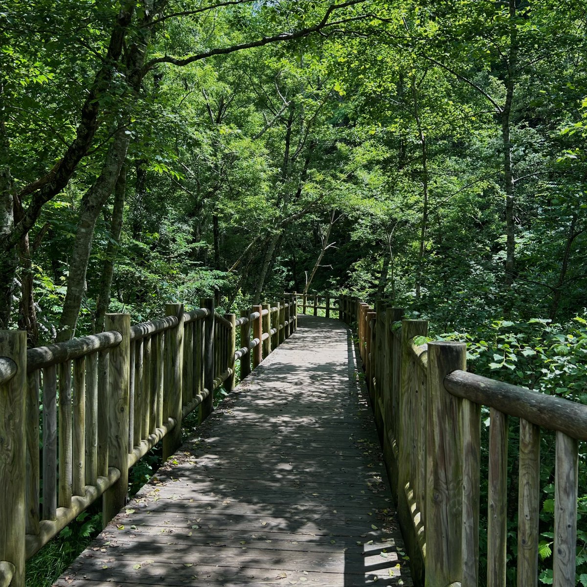 水も緑も空も空気も堪能🍃