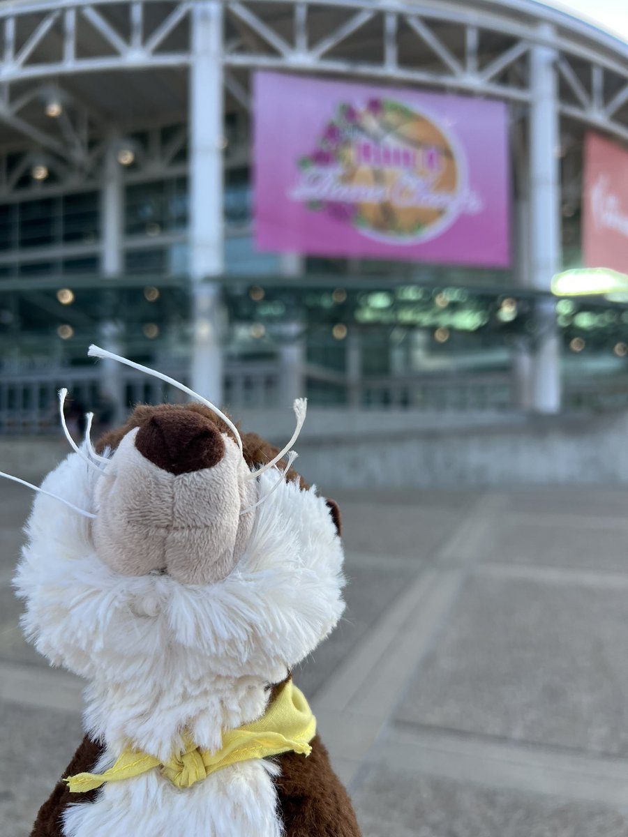 Championship vibez <a href="/TFNsRun4Roses/">TFN's Run 4 Roses</a>❗️

🦦 is here. Who we watching⁉️