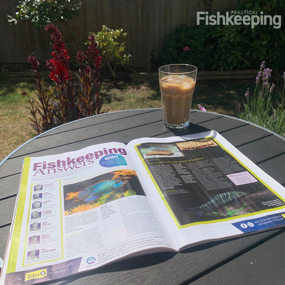 We love reading about our favourite hobby in the summer sunshine. 

Remember to buy your copy of Practical Fishkeeping so you have something to read on holiday! You can order the latest issue here: practical.fish/July2025