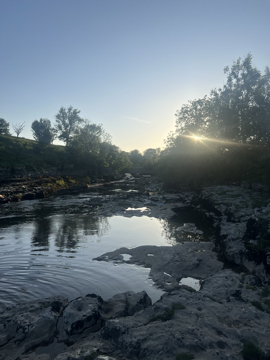 allaboutthecows's tweet image. Some Bonny summer nights going on in #Yorkshire at the moment 😊